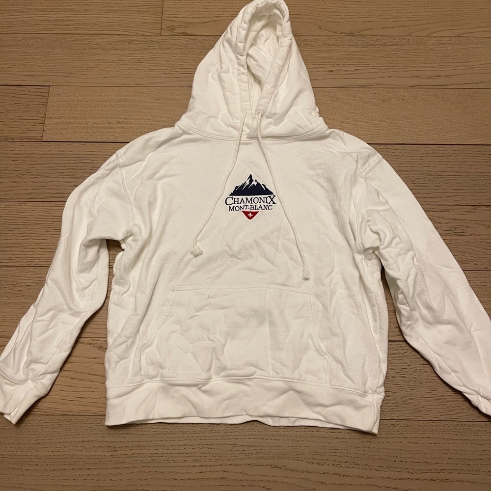 BNWOT Brandy Melville Swiss Alps Hoodie